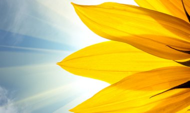 Her zaman Söylediğim Bir Şeyi Tekrar Sevgiyle Paylaşmak İstiyorum