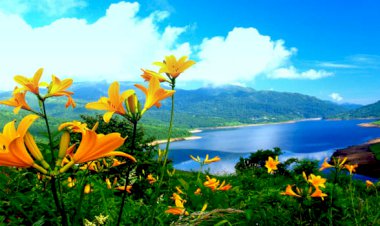 Zihnimize vesvese geldiğinde ne yapmalıyız?