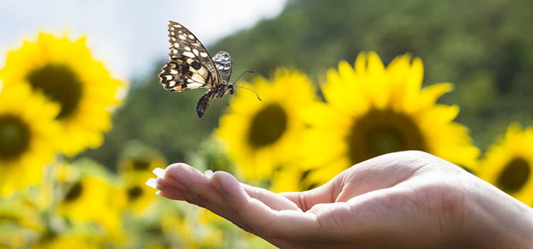 Anda Kalmak ve İşimizi Severek Yapmak