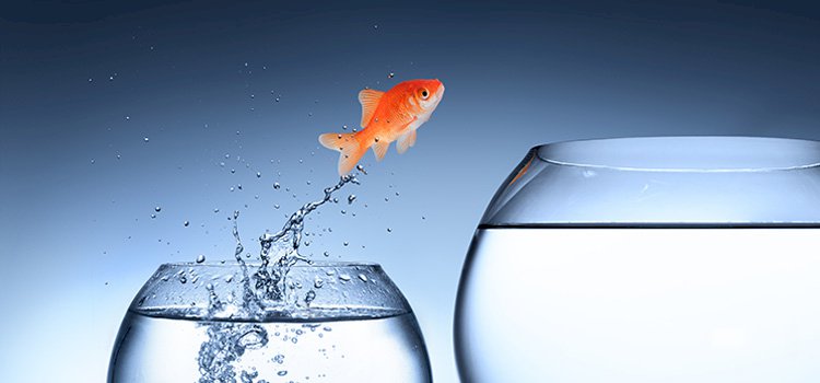 Yenilikçi ve Cesur Olun