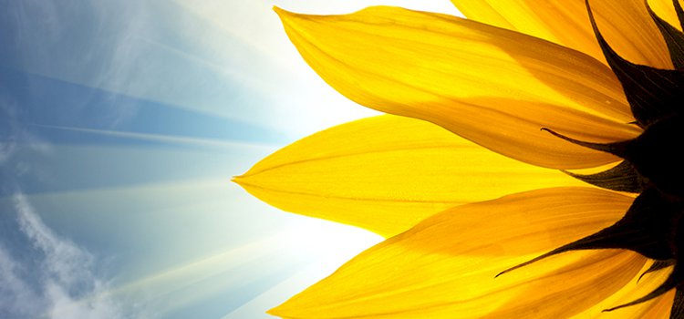 Her zaman Söylediğim Bir Şeyi Tekrar Sevgiyle Paylaşmak İstiyorum