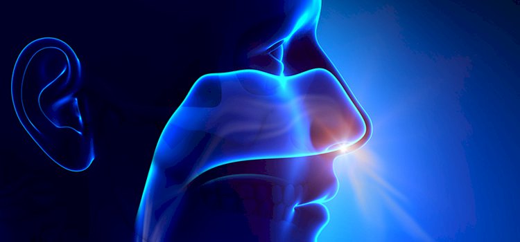 Doğru Nefesin Önemi