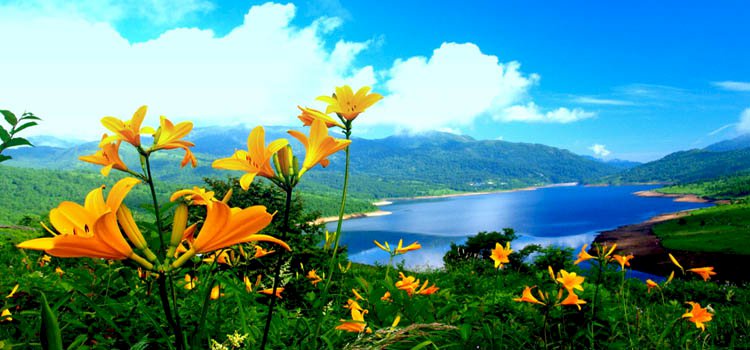 Zihnimize vesvese geldiğinde ne yapmalıyız?