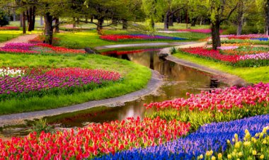 Tekrara giren hayatınız...