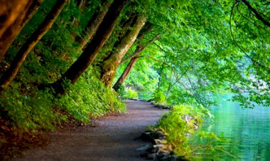Yaşam yolunda ilerleyebilmek...
