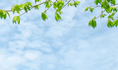 ORUCA GÖSTERDİĞİ HÜRMETTEN DOLAYI CENNETE GİREN MECUSİ