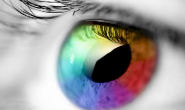 Bakmak >> Görmek >> Hissetmek