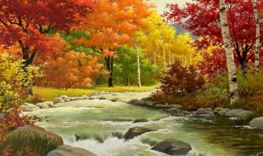 Ressamın çırağı - Güzel bir yazı