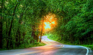 Uzun ince bir yoldayız...