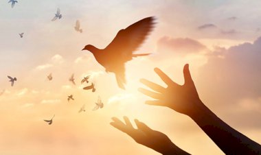 Chapter - 4 THE DIVINE LANGUAGE OF THE  UNIVERSE  “The Awakening”