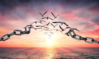 الجزء الخامس من كتاب: لغة الكون الإلهية. الصفح عن النفس