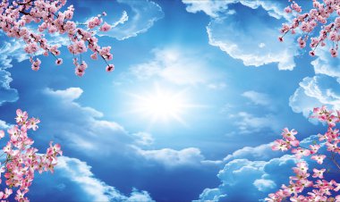 Bayramın Hayatımıza Dokunuşu