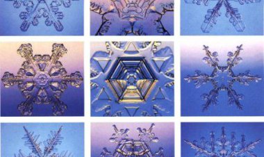 كوني مثل الماء