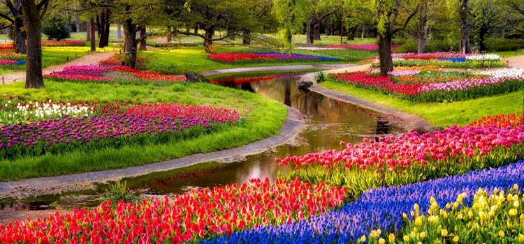 Tekrara giren hayatınız...