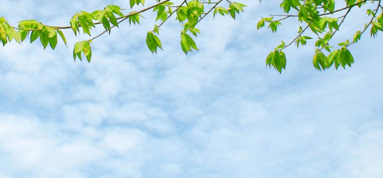 ORUCA GÖSTERDİĞİ HÜRMETTEN DOLAYI CENNETE GİREN MECUSİ