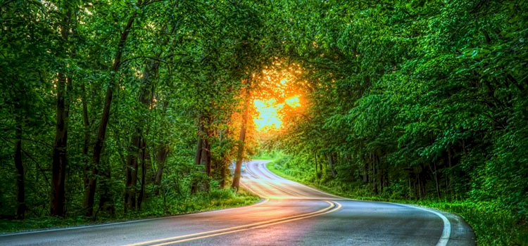 Uzun ince bir yoldayız...