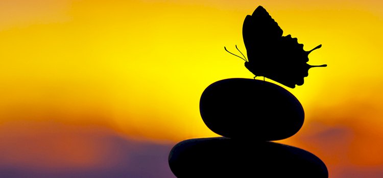 Niyet Etmenin Gücü