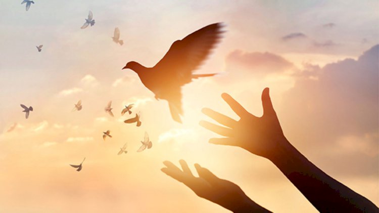 Chapter - 4 THE DIVINE LANGUAGE OF THE  UNIVERSE  “The Awakening”