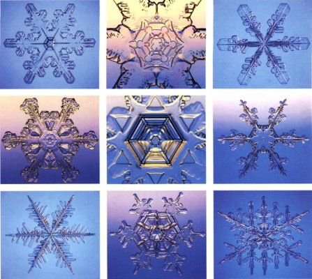 كوني مثل الماء