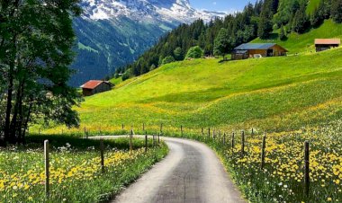 LA PEUR DE L'ABANDON