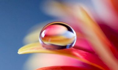 Accepeter sa Féminité