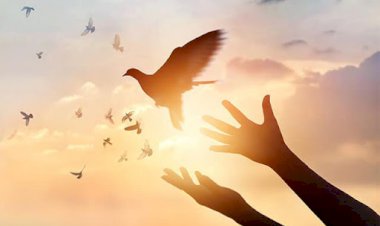 الجزء الرابع من كتاب: لغة الكون الإلهية. العفو وبداية جديدة