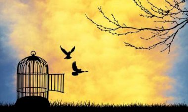 Özgür Bırak Ruhunu