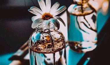 Ben Seninleyim Ya Sen Kiminlesin ?