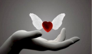 SAHİPLENMEK Mİ SAHİP ÇIKMAK MI?