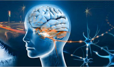 Zihnimiz Dost Mu Düşman Mı?