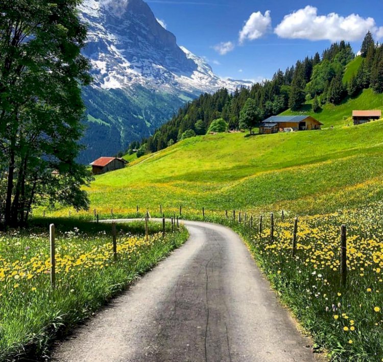 LA PEUR DE L'ABANDON