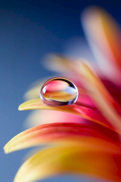 Accepeter sa Féminité