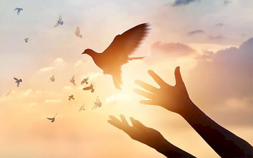 كيف تدركين أنك سامحت؟