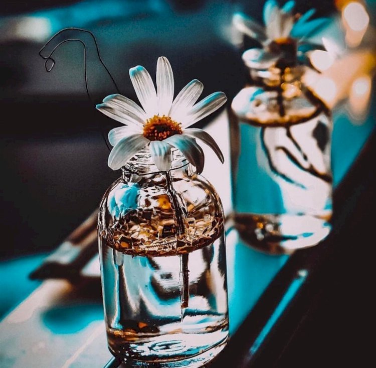 Ben Seninleyim Ya Sen Kiminlesin ?