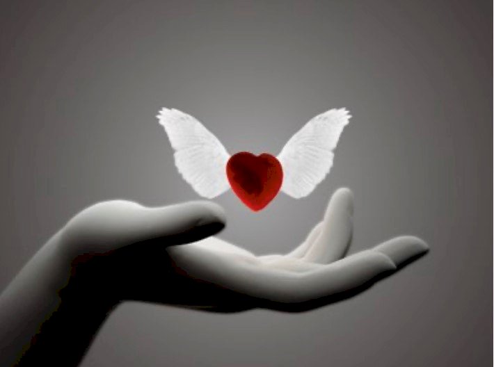 SAHİPLENMEK Mİ SAHİP ÇIKMAK MI?