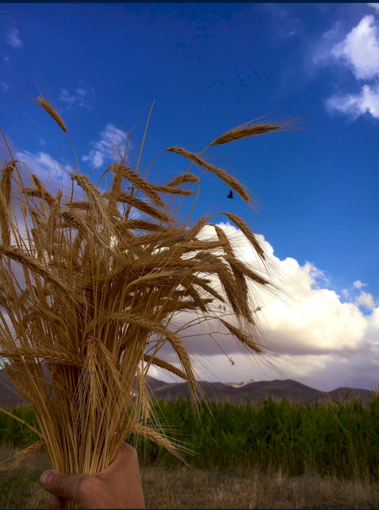 Gönlümüzde Ne Biriktiriyoruz?