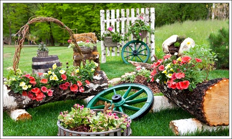 Yaşam Yolu  Ve Çiçekler