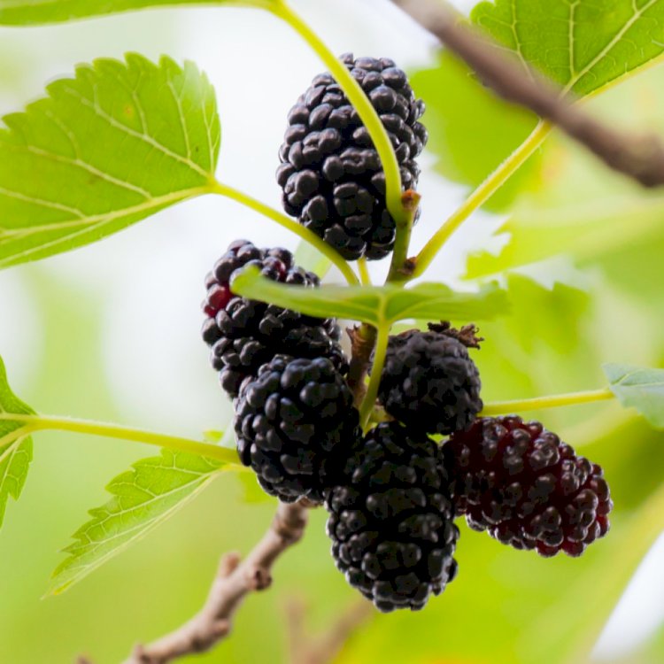 Dikkat Düşünceleriniz Gerçekleşebilir