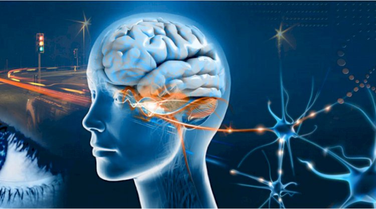 Zihnimiz Dost Mu Düşman Mı?