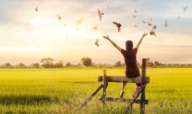 COMMENT SAVOIR, SI VOUS AVEZ PARDONNÉ ?