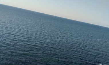 Sözlerimiz Nereye Gider?