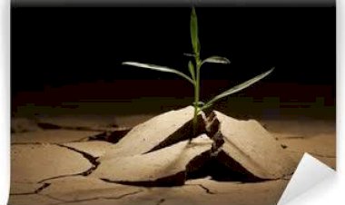 Vazgeçme! Hayatın Dönüm Noktası Belki de Orasıdır!