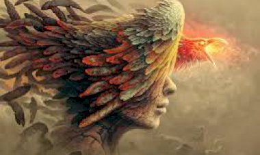 Söyle Nedir Aradığın?