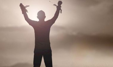 Affetmek Para Kazandırır Mı ?