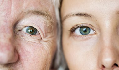 Mirasınızı Nasıl Kullanırdınız?