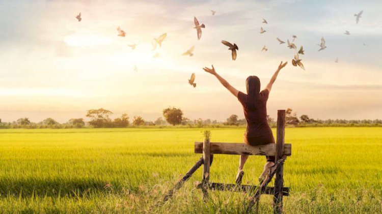 COMMENT SAVOIR, SI VOUS AVEZ PARDONNÉ ?