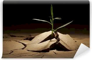 Vazgeçme! Hayatın Dönüm Noktası Belki de Orasıdır!