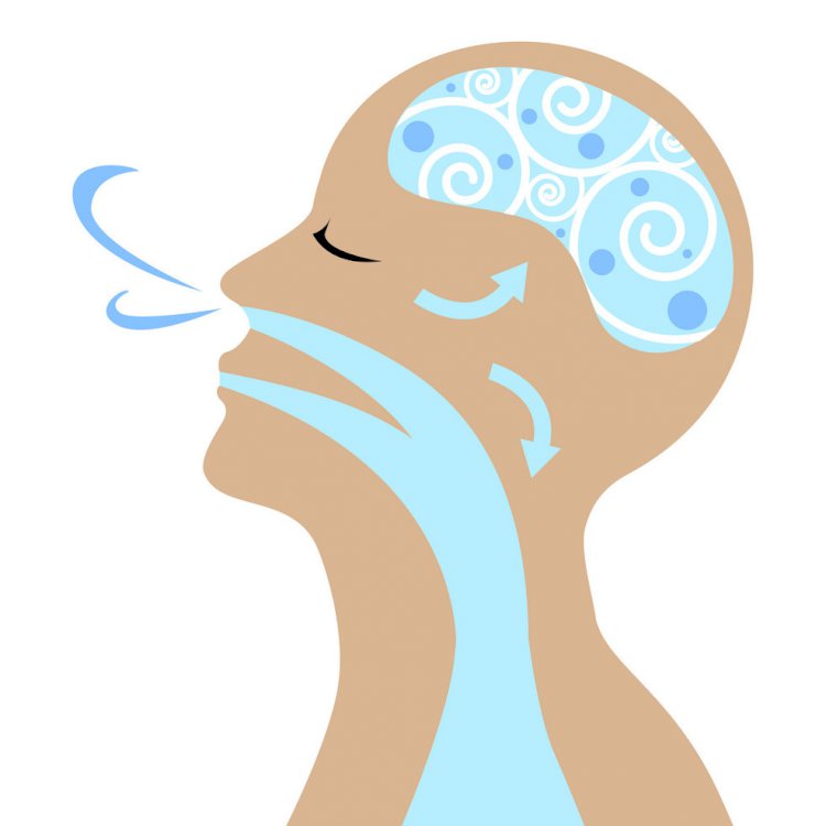 Burun Sağlığınız İçin Birkaç Nefes Tekniği