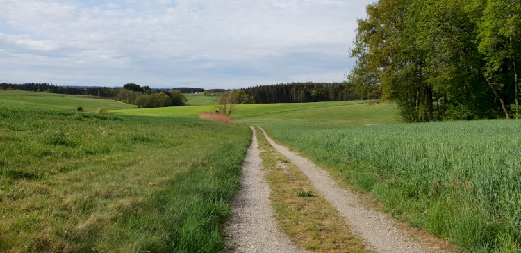 Hedefime Giden Adımlarım