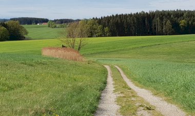 Rana Kaplan Akademi Münih'ten Geçti